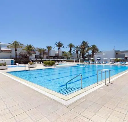 Mariposa En Frontera/primavera *