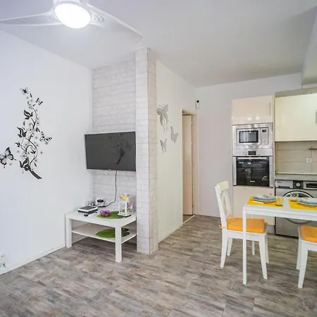 Mariposa En Frontera/primavera * コスタ・デル・シレンチオ